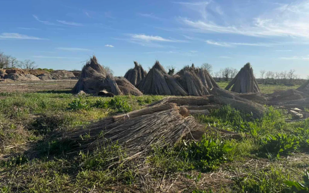 Republic Vučedol lokalitet 5