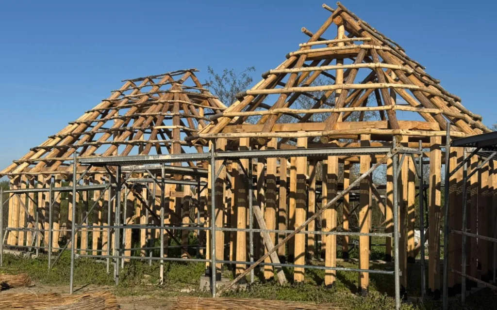 Republic Vučedol lokalitet 8